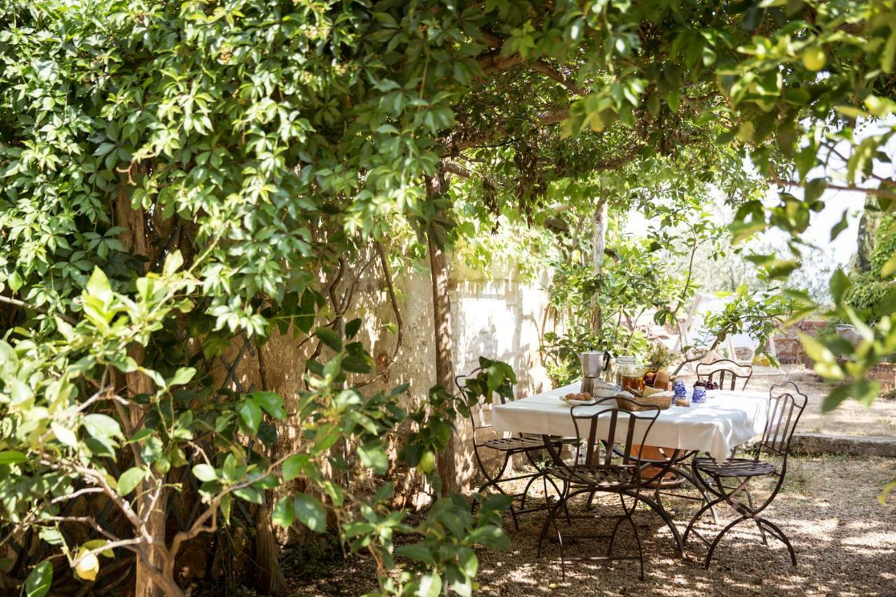 モンテリッジョーニ Agriturismo Biologico Ebbioヴィラ エクステリア 写真