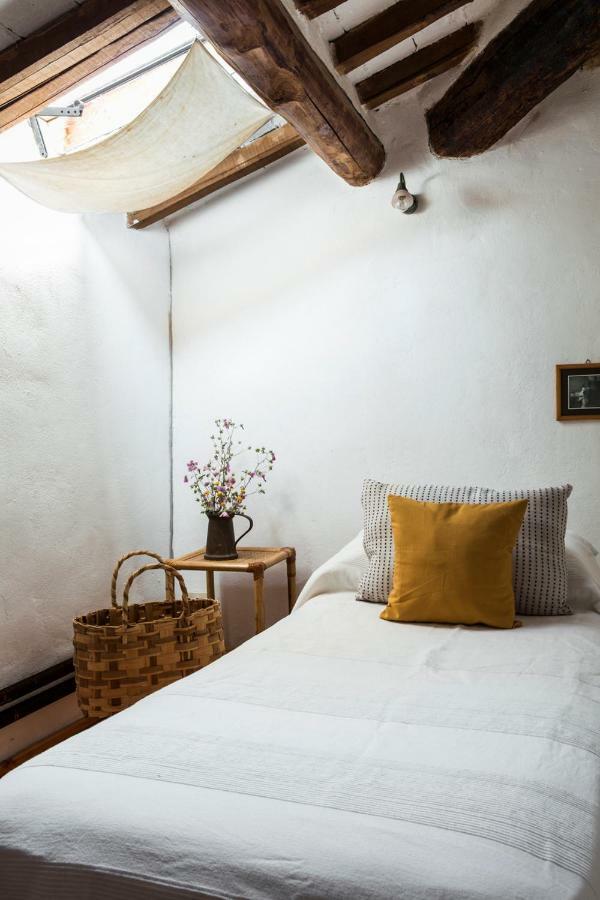 モンテリッジョーニ Agriturismo Biologico Ebbioヴィラ エクステリア 写真